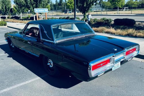 1964 Ford Thunderbird Landau Coupe for Sale With 52,500 Miles Shown