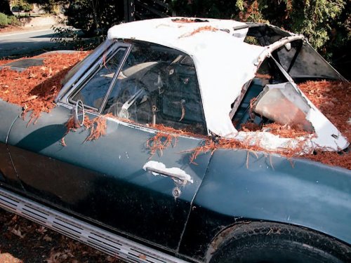 I See Dead Cars: A Mailman's Daily Trip Down Memory Lane