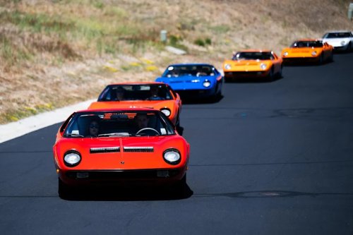 World’s Largest Gathering of Lamborghini Miuras Sees 43