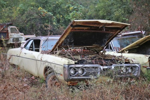 Some Interesting Junkyard Finds at Collins Auto Salvage in Auburn, Georgia