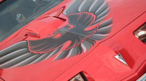 Pontiac, What Kind Of Bird Did Pontiac Put On The Hood Of Trans-Ams?