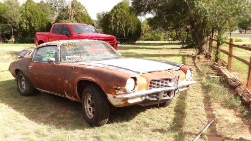 Chevrolet, Chevrolet Camaro, Think, This Filthy Barn Find Chevrolet Camaro Was in Much Better Condition Than You Might Think
