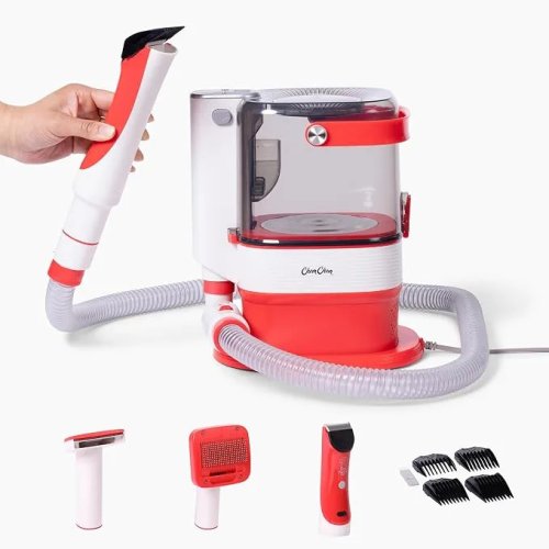10 Car Essentials Every Dog Owner Needs