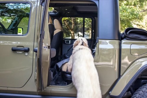 Jeep Gladiator Review: The Jeep-est Truck Is A Solid Pick For Dog Owners