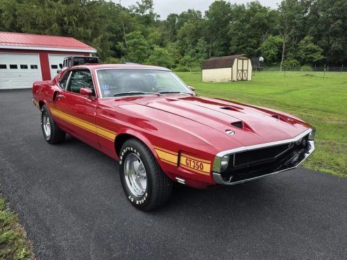 Ford, Ford Mustang, Numbers-Matching 1969 Ford Mustang Shelby GT350 Heads to the Block at Carlisle Auctions