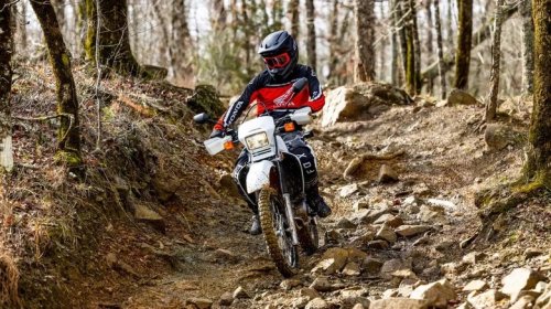 Honda, Kawasaki Vs. Honda Dirt Bikes: Which Has The Better Reputation For Reliability?