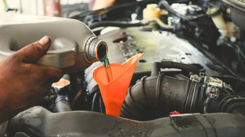 Why Car Brands Used Sperm Oil In Transmission Fluid Until The 1970s