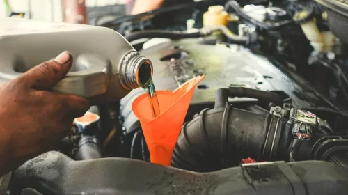 Why Car Brands Used Sperm Oil In Transmission Fluid Until The 1970s