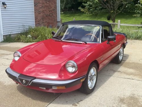 1987 Alfa Romeo Spider Graduate For Sale
