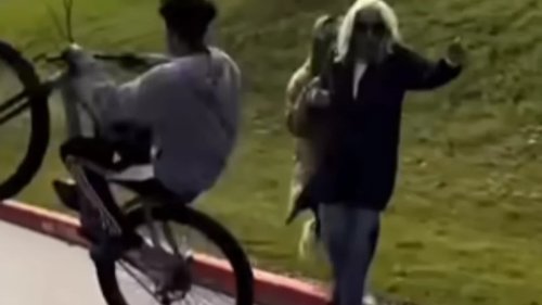 Bike Rider Fakes Hitting Pedestrians While Doing Wheelies: 