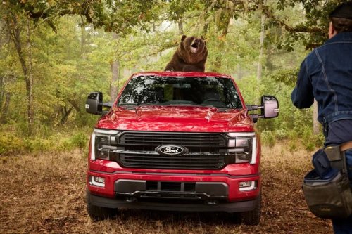 Ford, Ford F-150, Kodiak Bear Weighing Over 360 Kg Puts Ford F-150’s Security Package to the Test