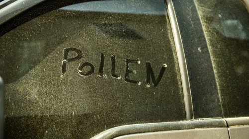 Pollen Isn't Just Bad For Your Allergies, It Can Wreak Havoc On Your Car Too