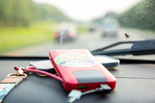 Road Trips Create Memories — and Insect Guts. So We Tested the Best Bug, Tar, and Sap Removers