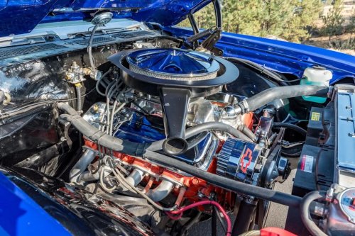 Chevrolet, Chevrolet Chevelle, 1970 Chevrolet Chevelle SS 396 for Sale With 39,000 Miles Shown