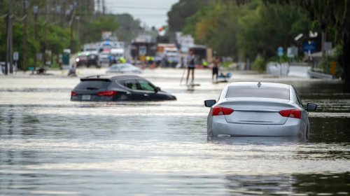 Shelby Cobra Buyer Quickly Learns Why Flooded Cars Sell For So Cheap