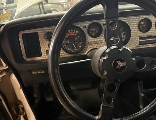 1975 Pontiac Firebird Trans Am for Sale With 69,000 Miles