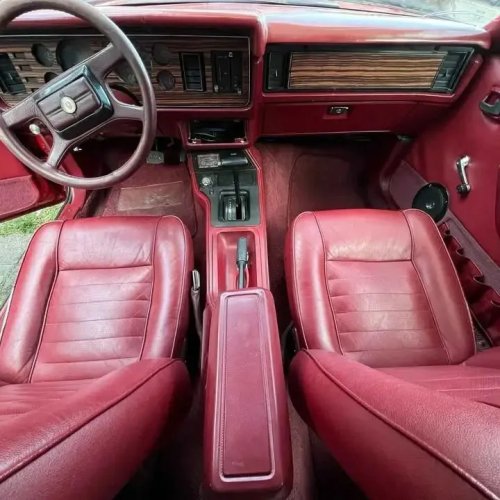 1982 Ford Mustang Notchback For Sale