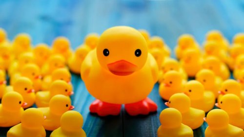 Jeep, Don't Want People Putting Ducks On Your Jeep? Here's What To Do