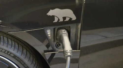 5 Of The Coolest Luxury Car Brand Logos