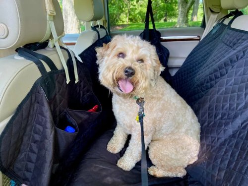 The 5 Best Waterproof Car Seat Covers to Survive Sandy Paws and Muddy Summer Adventures