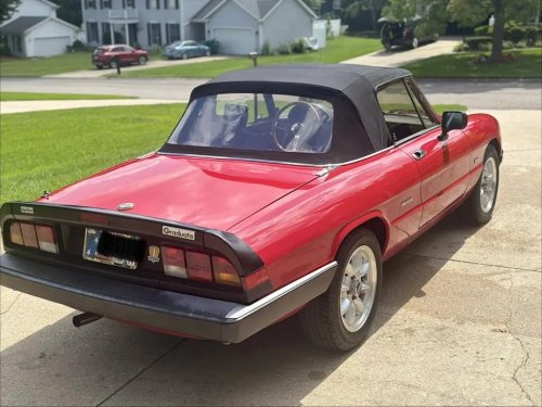 1987 Alfa Romeo Spider Graduate For Sale