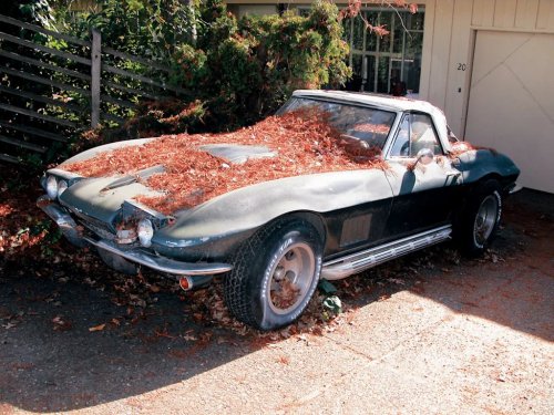 I See Dead Cars: A Mailman's Daily Trip Down Memory Lane