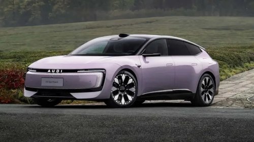 Audi Has a Problem With AUDIs Being Sold in Germany. Seriously