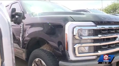 Ford, Ford F-250, Robin Flips Ford Dealer The Bird By Making Its Nest In A Sold F-250