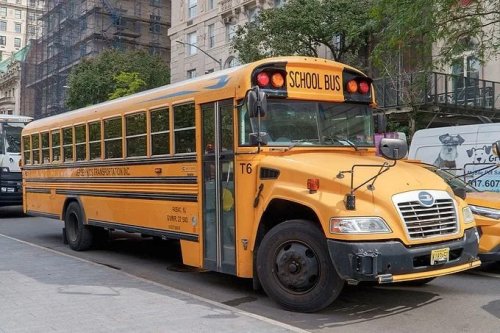 Ever Wondered About the Black Stripes on School Buses? Here’s Why They’re There