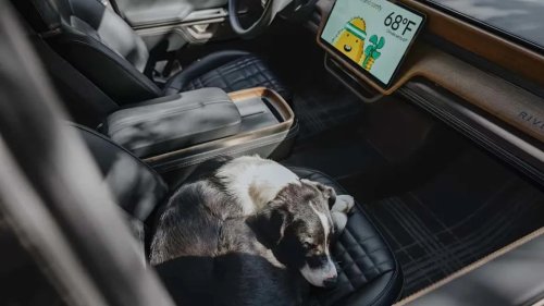Rivian, The Rivian R2's 'Pet Mode' Now Lets You Monitor Your Dog With A Live Stream