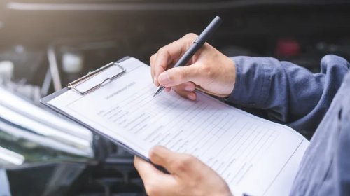 These Are Your Biggest Driving Pet Peeves