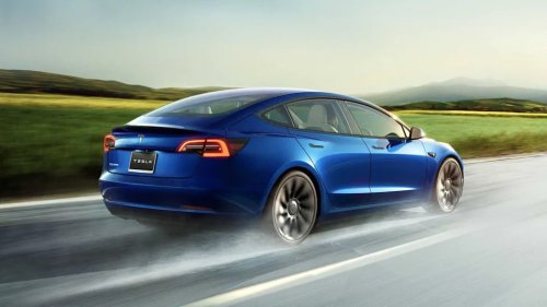 Tesla's FSD Lite Seems To Have A Hard Time Seeing Trees And Logs