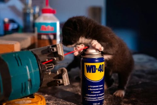 16 Car Tricks That Save You Hundreds on Maintenance