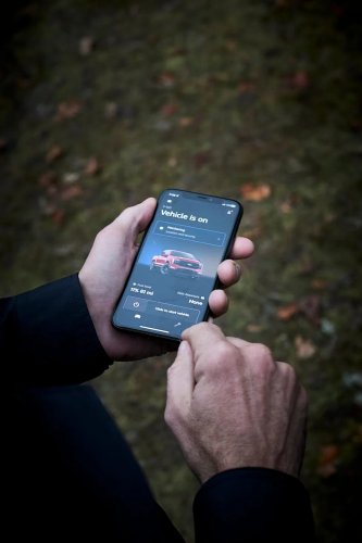 An 800-Pound Kodiak Bear Tested Ford F-150's Security Package By Shaking the Truck and Breaking In