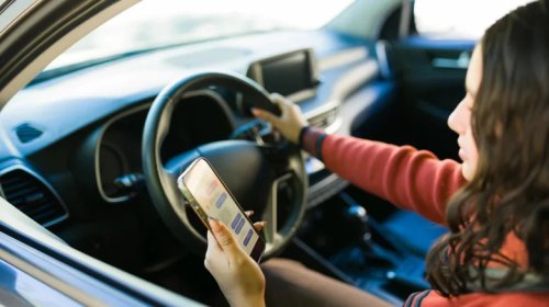 These Are Your Biggest Driving Pet Peeves