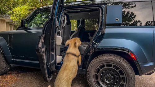 2026 Land Rover Defender Dog Review: What More Do You Want?