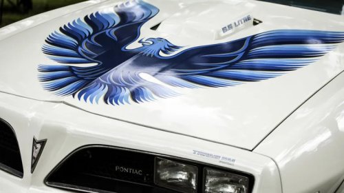 What Kind Of Bird Did Pontiac Put On The Hood Of Trans-Ams?