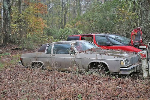Some Interesting Junkyard Finds at Collins Auto Salvage in Auburn, Georgia