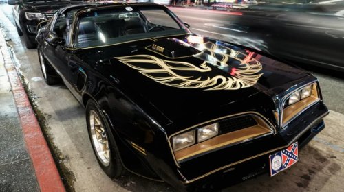 Pontiac, What Kind Of Bird Is Pontiac's Famous Firebird Logo Supposed To Be?