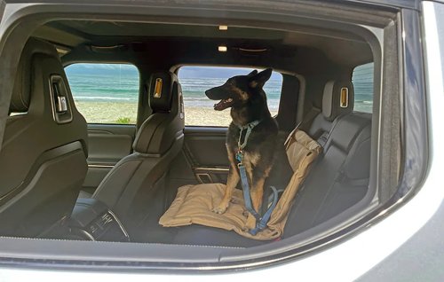 The 9 Best Cars For Traveling With Dogs— and Spoil Your Fur Babies