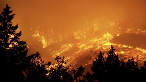 One Of The Leading Causes For Wildfires Is Sitting In Your Driveway