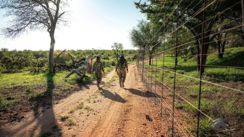 Porsche, Porsche Cayenne, SUV, Porsche Donates Modified Cayenne SUV to South Africa's All-Women Anti Poaching Unit Called Black Mambas So They Don't Have to Patrol on Foot For Rhino Conservation