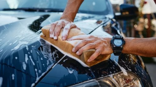 Pollen Isn't Just Bad For Your Allergies, It Can Wreak Havoc On Your Car Too