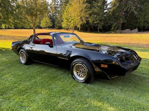 1979 Pontiac Firebird Trans Am WS6 for Sale With 8,000 Miles Shown