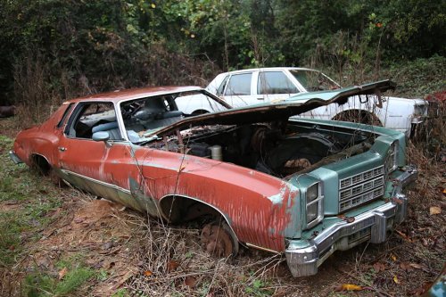 Some Interesting Junkyard Finds at Collins Auto Salvage in Auburn, Georgia