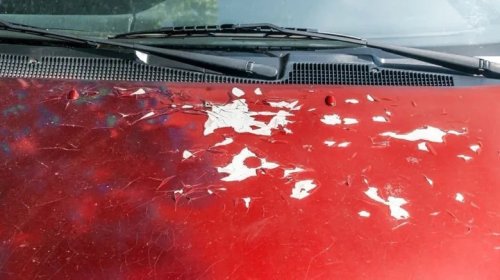 Can A Hot Day Really Inflate Your Car's Vinyl Wrap? Here's What To Know