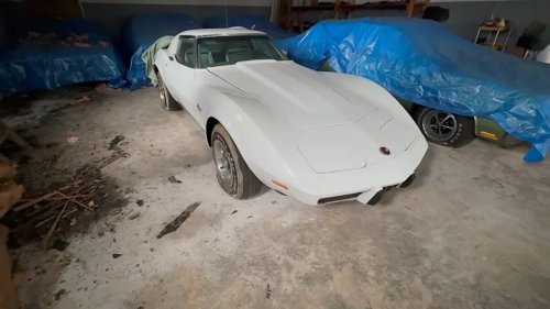Muscle Cars, Man Finds Heavenly Collection of Muscle Cars Not Seen Since the 1990s