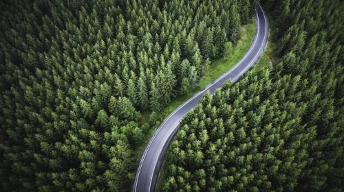 These Are Your Favorite Types Of Driving