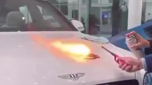 Bentley, Lady at the Dealership Spray-Painted a Dollar Sign on a Bentley. Then She Set It on Fire. There's a Method to the Madness