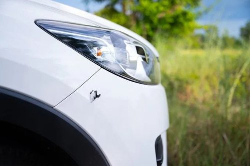Is Your Car Allergic to Pollen, Too? How to Deal With Pollen On and In Your Car